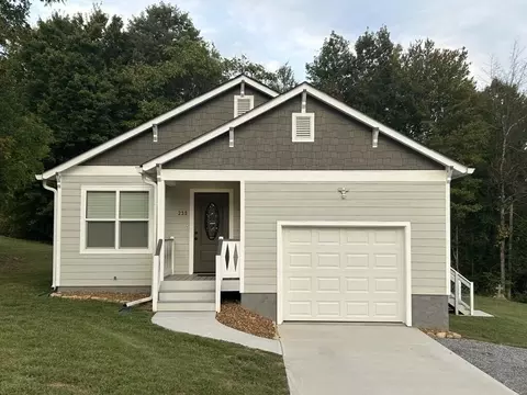 235 Piney Knob Dr, Spring City, TN 37381