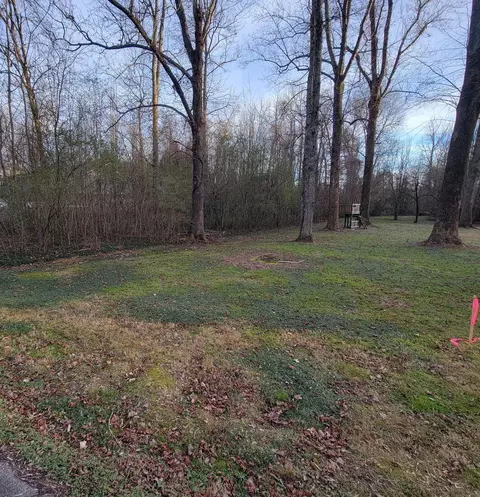 0 Eagle Cliff Dr, Flintstone, GA 30725