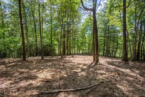 42 Donley Rd, Murphy, NC 28906 photo 10