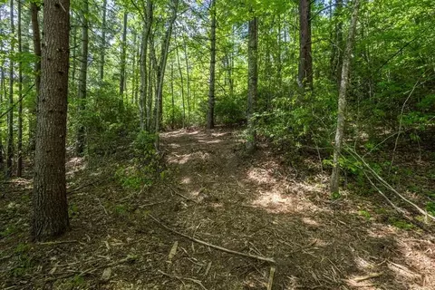 42 Donley Rd, Murphy, NC 28906 photo 6