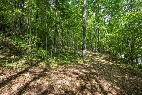 42 Donley Rd, Murphy, NC 28906 photo 7