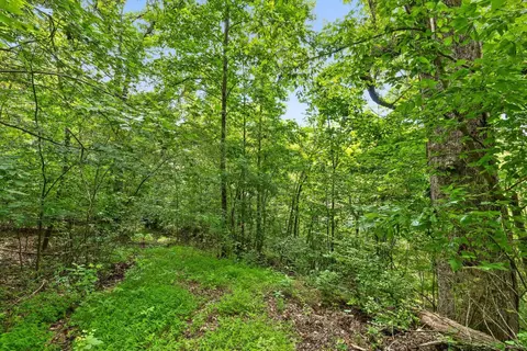 0 Cloud 9 Ln, Flintstone, GA 30725 photo 5