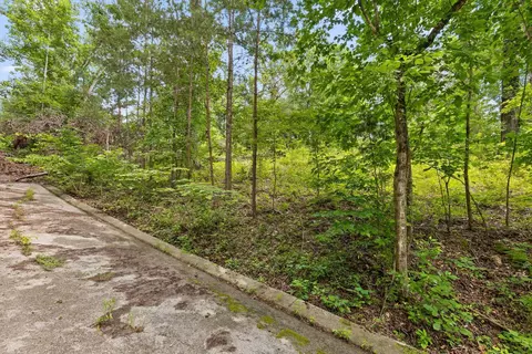 0 Cloud 9 Ln, Flintstone, GA 30725 photo 10
