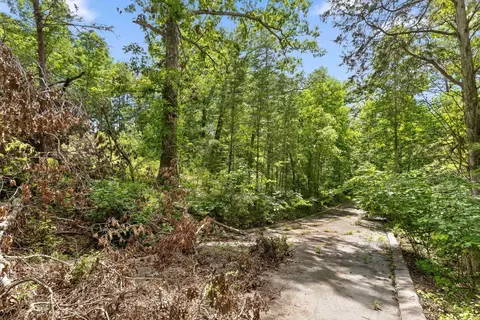 0 Cloud 9 Ln, Flintstone, GA 30725 photo 11