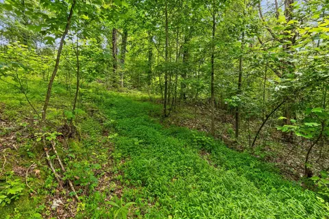 0 Cloud 9 Ln, Flintstone, GA 30725 photo 7