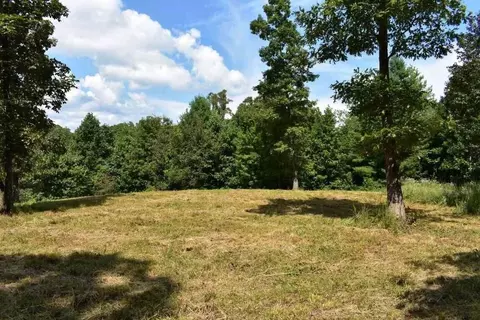 156 Smoke Rise Cv, Spring City, TN 37381