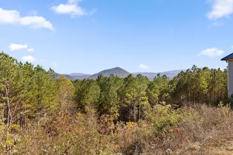Other - 161155 Cherokee Ridge Dr, Ocoee, TN 37361 photo 3 of 4