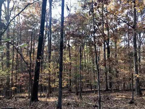 394 Quill Dr NW, Cleveland, TN 37311