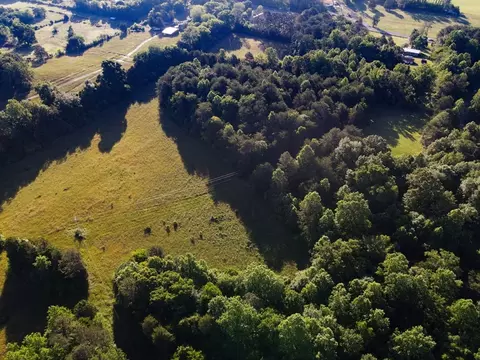 7675 Grasshopper, Georgetown, TN 37336 photo 12