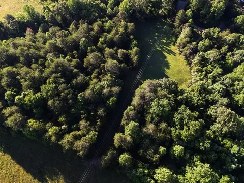 7675 Grasshopper, Georgetown, TN 37336 photo 13