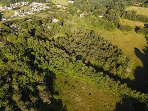 7675 Grasshopper, Georgetown, TN 37336 photo 7