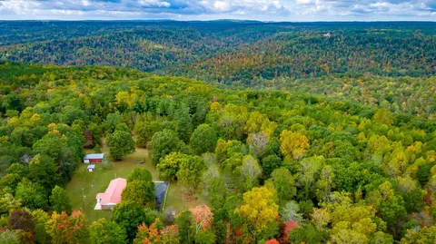 175 Teeters Loop, Dunlap, TN 37327 photo 3