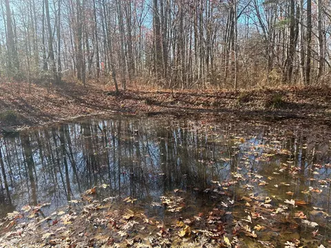 175 Teeters Loop, Dunlap, TN 37327 photo 53