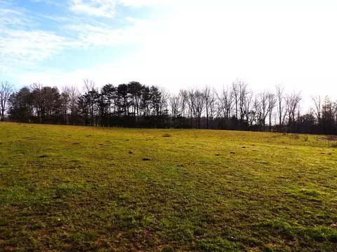 1920 Burdette Rd, Grandview, TN 37337 photo 7