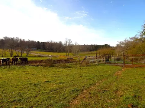 1920 Burdette Rd, Grandview, TN 37337 photo 10
