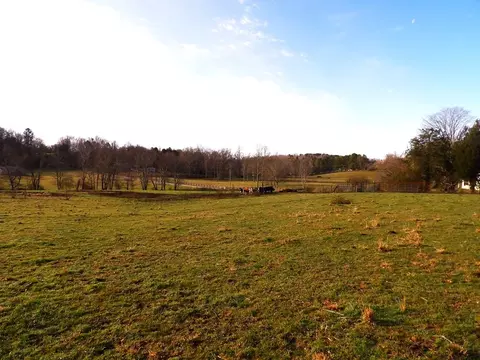1920 Burdette Rd, Grandview, TN 37337 photo 16