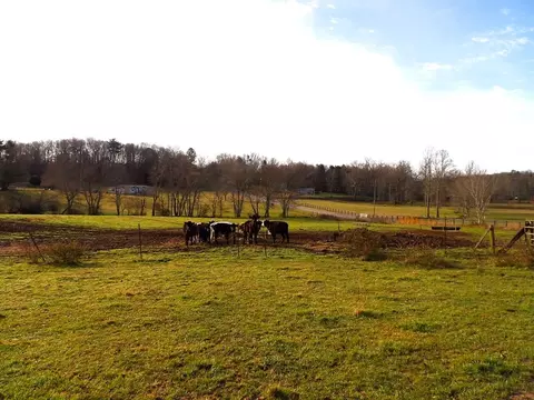 1920 Burdette Rd, Grandview, TN 37337 photo 9