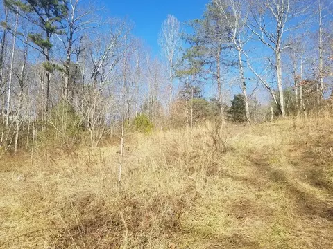 273 Waller Rd, Farner, TN 37333 photo 5