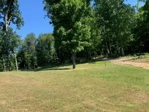 10104 Caseview Dr, Harrison, TN 37341 photo 1
