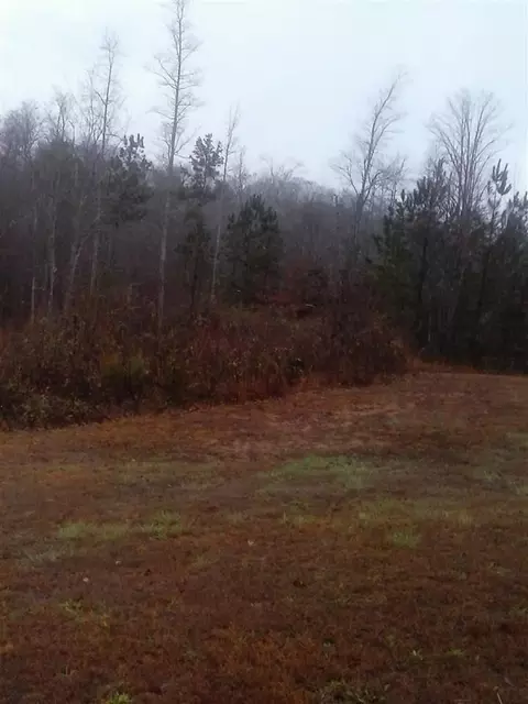 0 Highway 411 S, Ocoee, TN 37361 photo 1