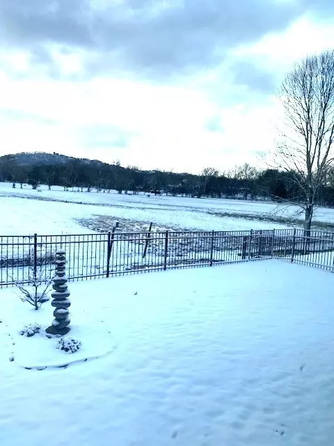 8463 River Birch Loop, Ooltewah, TN 37363 photo 55
