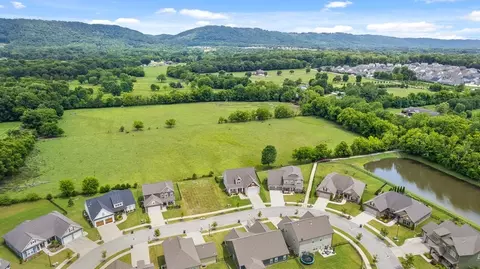 8463 River Birch Loop, Ooltewah, TN 37363 photo 11