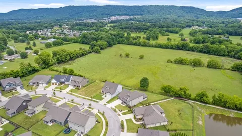 8463 River Birch Loop, Ooltewah, TN 37363 photo 12
