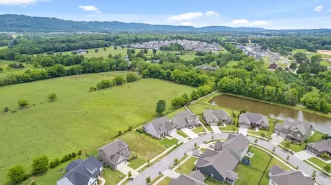 8463 River Birch Loop, Ooltewah, TN 37363 photo 10