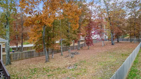 7572 Grasshopper Rd, Georgetown, TN 37336 photo 9
