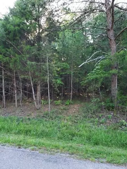 1375 Pinhook Rd, Spring City, TN 37381 photo 16