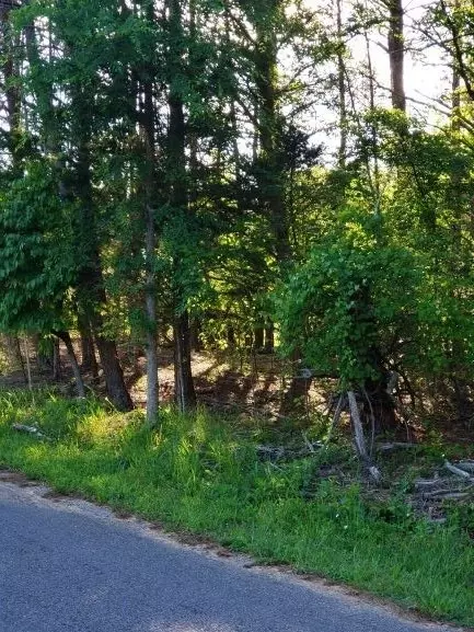 1375 Pinhook Rd, Spring City, TN 37381 photo 17