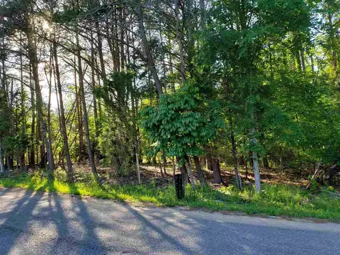 1375 Pinhook Rd, Spring City, TN 37381 photo 5