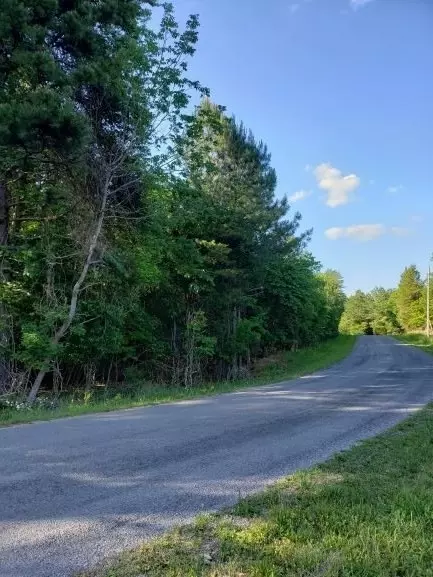 1375 Pinhook Rd, Spring City, TN 37381 photo 12