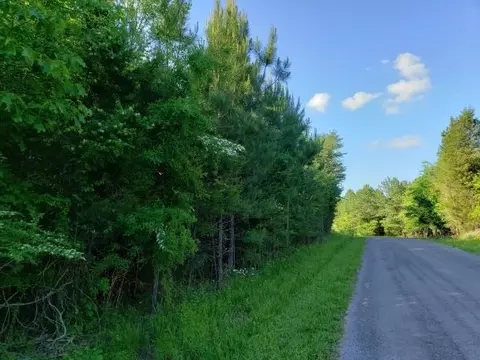 1375 Pinhook Rd, Spring City, TN 37381 photo 7