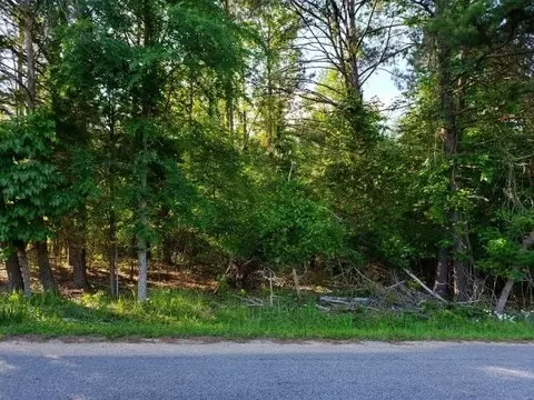 1375 Pinhook Rd, Spring City, TN 37381 photo 11