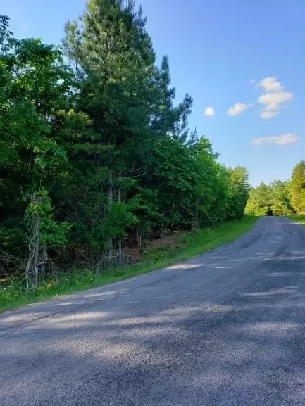 1375 Pinhook Rd, Spring City, TN 37381 photo 15
