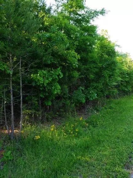 1375 Pinhook Rd, Spring City, TN 37381 photo 13