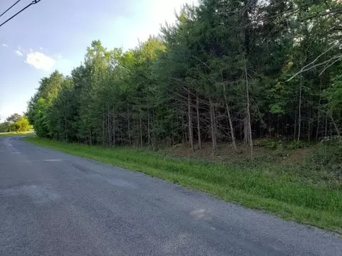 1375 Pinhook Rd, Spring City, TN 37381 photo 8