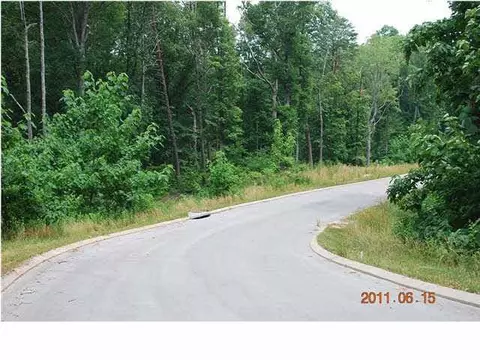 10103 Caseview Dr, Harrison, TN 37341 photo 1
