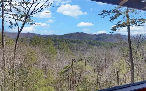 20 Dean Ct, Cherry Log, GA 30522 photo 36