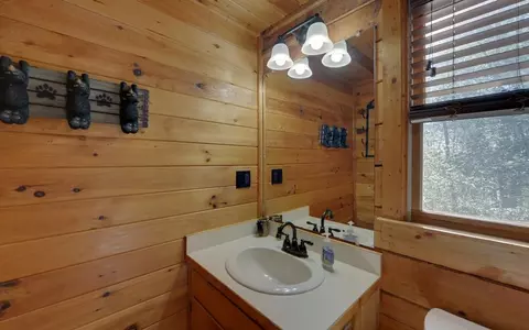 20 Dean Ct, Cherry Log, GA 30522 photo 20