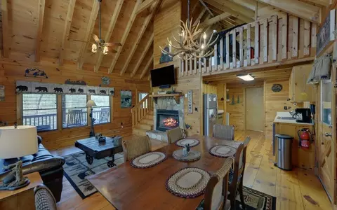 20 Dean Ct, Cherry Log, GA 30522 photo 9