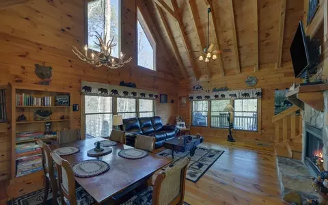 20 Dean Ct, Cherry Log, GA 30522 photo 8