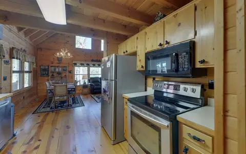 20 Dean Ct, Cherry Log, GA 30522 photo 5