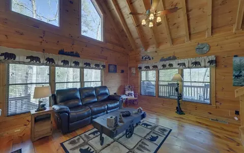 20 Dean Ct, Cherry Log, GA 30522 photo 10