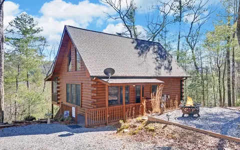 20 Dean Ct, Cherry Log, GA 30522 photo 1