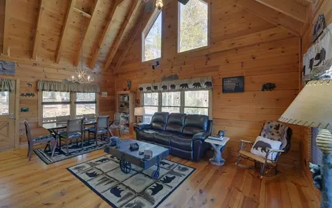 20 Dean Ct, Cherry Log, GA 30522 photo 12
