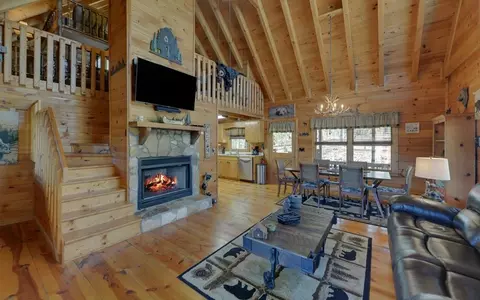 20 Dean Ct, Cherry Log, GA 30522 photo 11