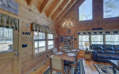 20 Dean Ct, Cherry Log, GA 30522 photo 7