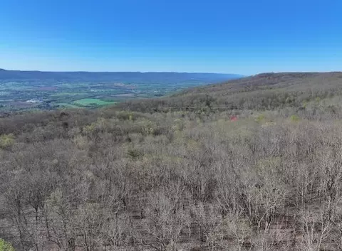 0 Dogwood Flat Rd, Pikeville, TN 37367